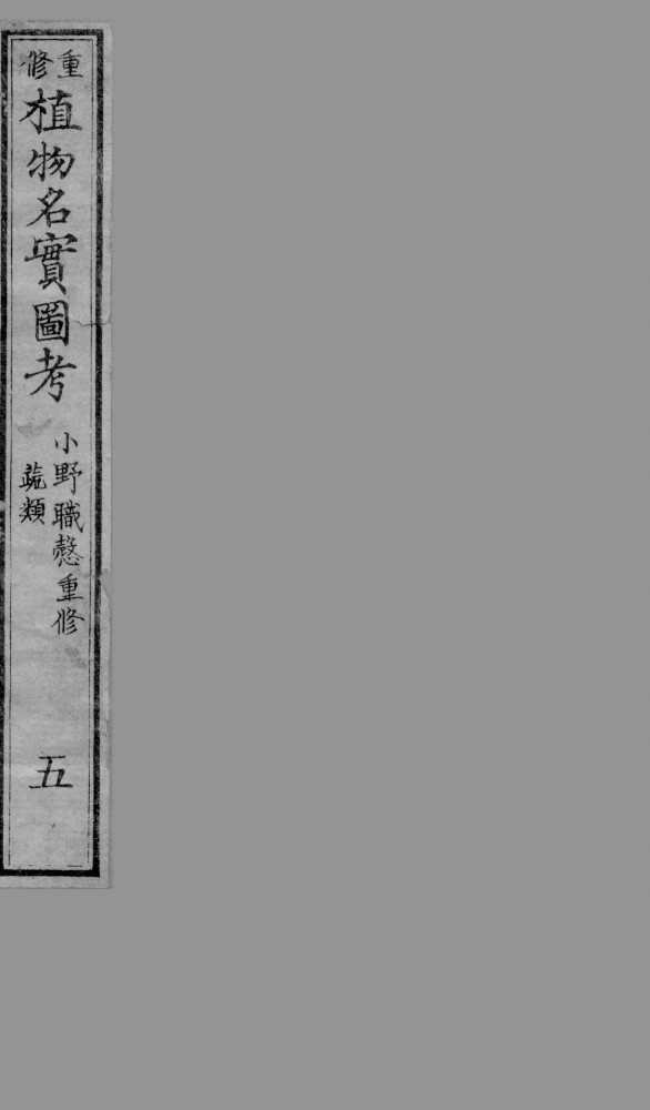 植物名实图考  5